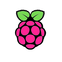 Raspberry logo